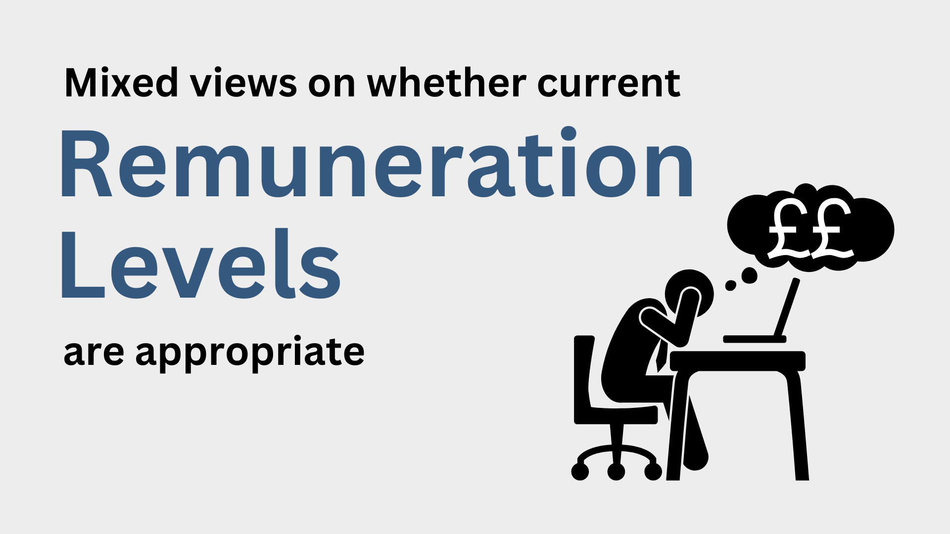 Mixed views on whether current remuneration levels are appropriate.